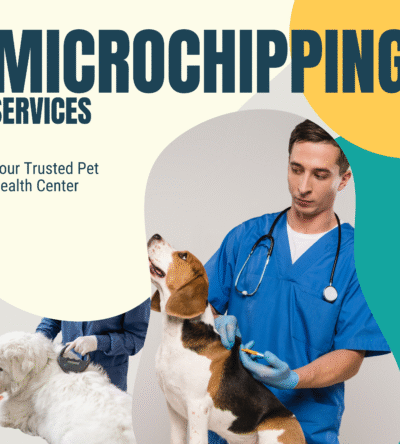 Premium Pet Microchip